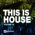 This Is House, Vol 02