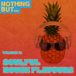 Nothing But... Soulful House Flavours, Vol 14