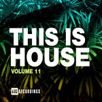 This Is House, Vol 11