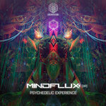 Psychedelic Experience (Original Mix)
