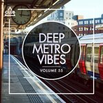 Deep Metro Vibes Vol 55