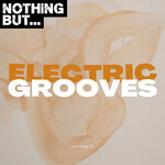 Nothing But... Electric Grooves, Vol 13