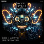 Acid Revolution (Original Mix)