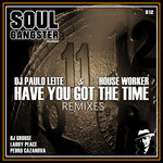 Have You Got The Time (Remixes)