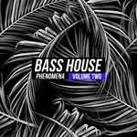 Bass House Phenomena, Vol 2
