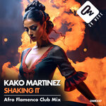 Shaking It (Afro Flamenco Club Mix)