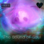 The Sound Of Soul Vol 1 (Selected Ambient Music)