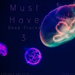 Must Have Deep Tracks Vol 3