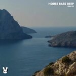 House Bass Deep