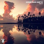 House Bass Deep III