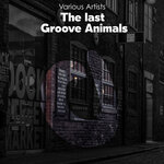The Last Groove Animals (Explicit)