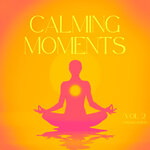 Calming Moments, Vol 2