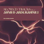 Slowed Tracks, Vol 2
