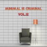 Minimal Is Criminal, Vol 12 (Best Selection Of Minimal Club Tracks)