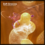 Soft Grooves