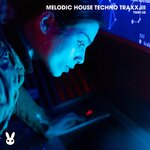 Melodic House Techno Traxx III