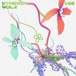 Synergy Vol 2