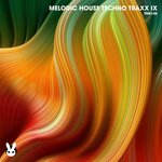 Melodic House Techno Traxx Ix