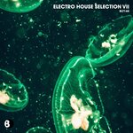 Electro House Selection VII