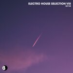 Electro House Selection Viii