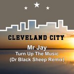 Turn Up The Music (Dr Black Sheep Remix)