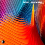 Future House World V