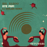 Aye Papi (DJ Danjer Remix)