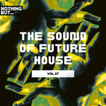 Nothing But... The Sound Of Future House, Vol 27