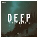Deep In The Rhythm Vol 11