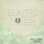 Synths And Notes 4.0