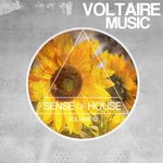 Sense Of House Vol 12