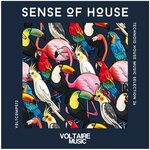Sense Of House Vol 36