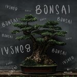 Bonsai