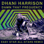 Damn That Frequency (Easy Star All-Stars Remix)