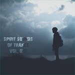 Spirit Sounds Of Trance Vol 35