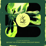Before The Storm (James Harcourt Remix)