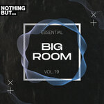 Nothing But... Essential Big Room, Vol 19