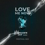 Love Me Now (Festival Mix)