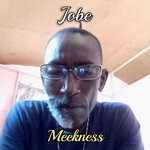 Meekness (Official Audio)