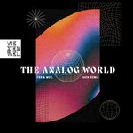 The Analog World