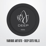 Innocent Music Deep Cuts, Vol 5