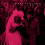 Nuclear Fission