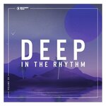Deep In The Rhythm Vol 29