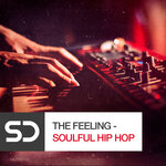 The Feeling - Soulful Hip Hop (Sample Pack WAV/MIDI)