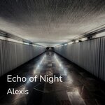 Echo Of Night (First Version)