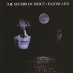 Floodland (2006 Remastered Expanded Deluxe Version) (Explicit)