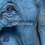 Auditory Perception