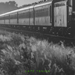Late Trains