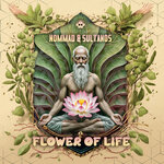 Flower Of Life