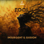 Fool